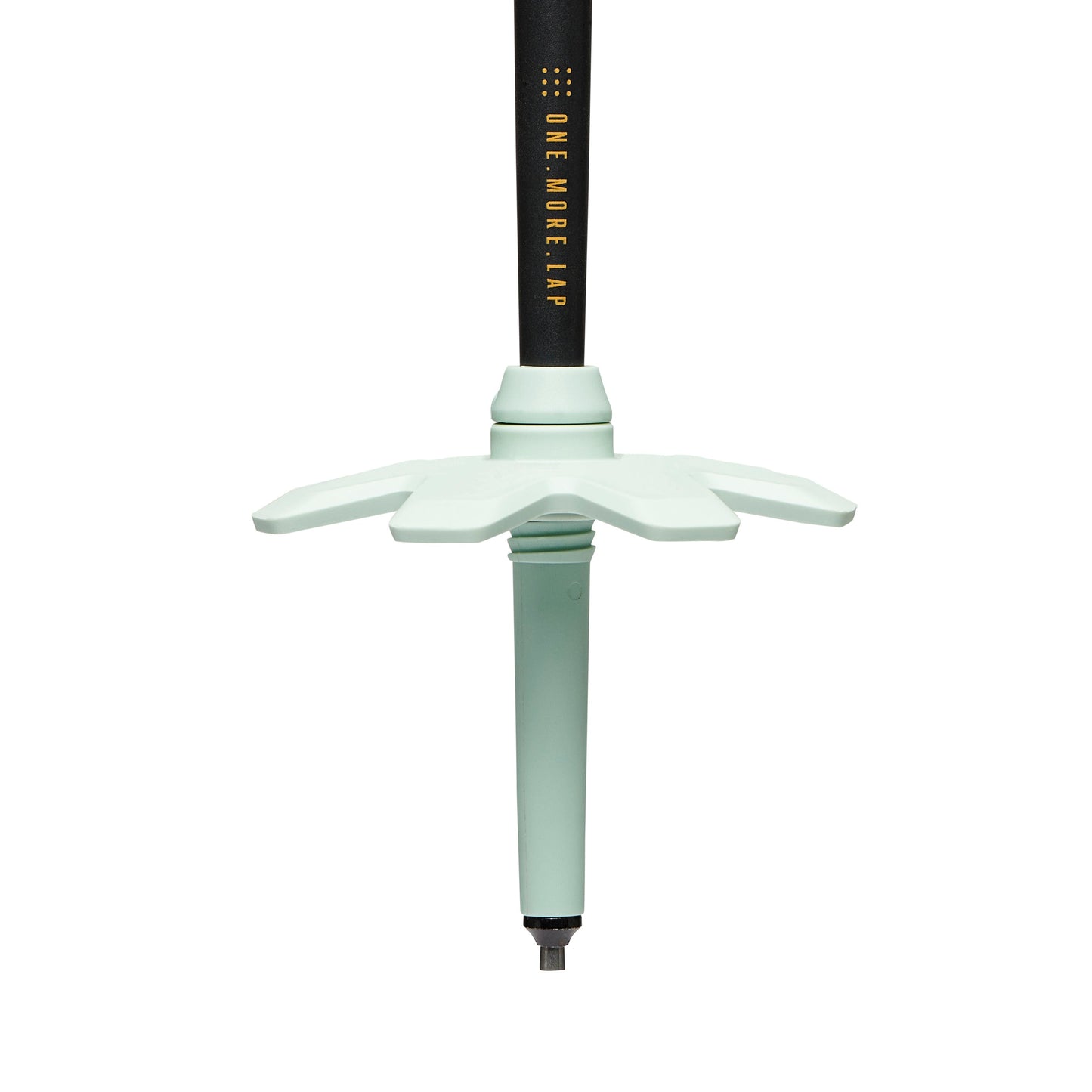 Traverse Pro Ski Poles | Black Diamond Best Seller