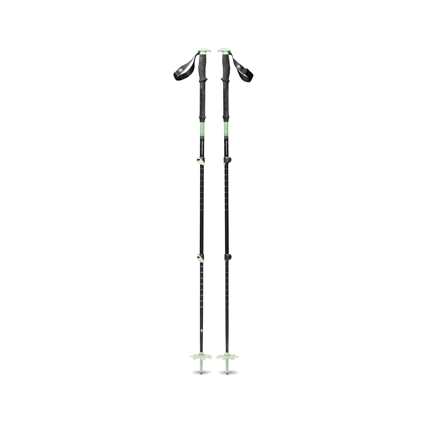 Expedition 3 Ski Poles | Black Diamond Exclusive