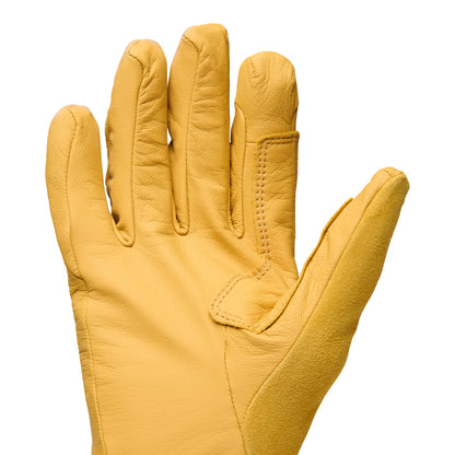 Tour LT Gloves | Black Diamond Best Seller