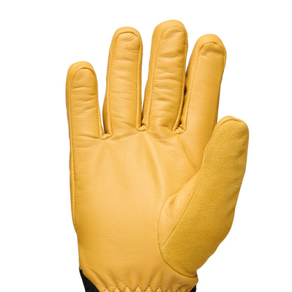 Tour Gloves | Black Diamond Signature