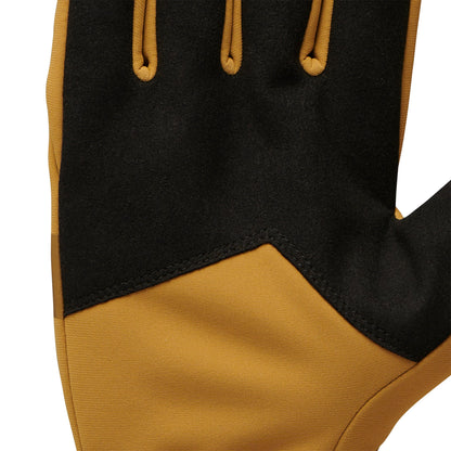 Everyday Softshell Gloves | Black Diamond Featured