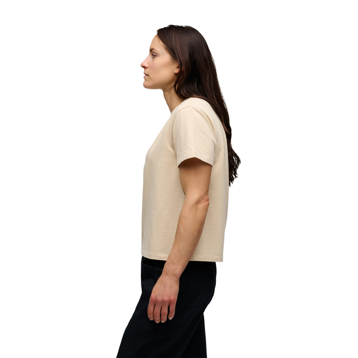Women's BD Stripe Short Sleeve Tee Long | Black Diamond Exclusive