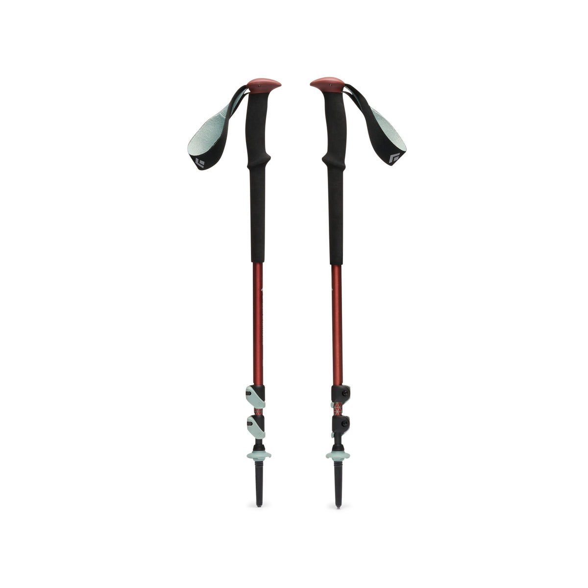Trail Trekking Poles | Black Diamond Value