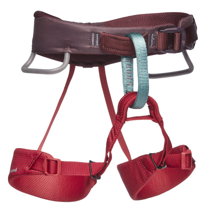 Kids' Momentum Harness | Black Diamond Classic