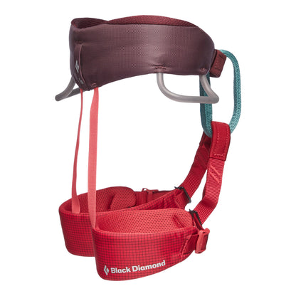 Kids' Momentum Harness | Black Diamond Classic