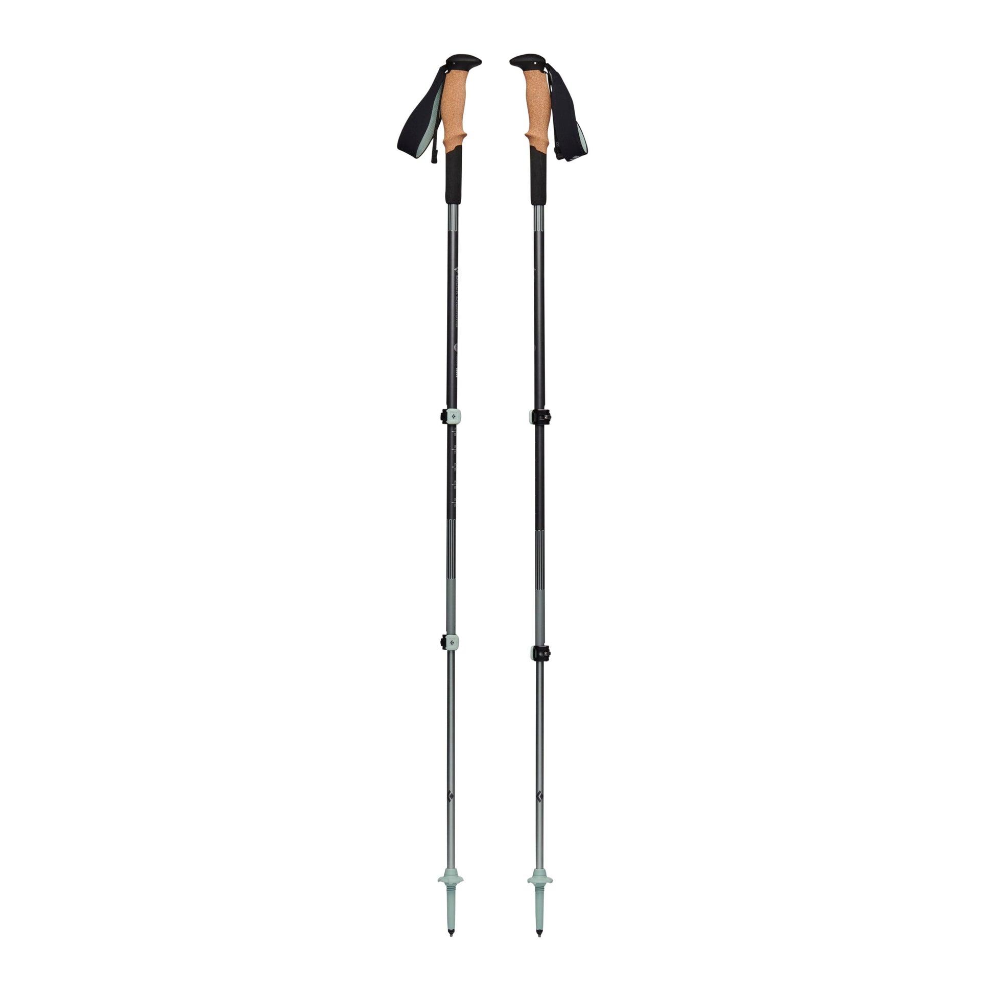 Pursuit Shock Trekking Poles | Black Diamond Exclusive