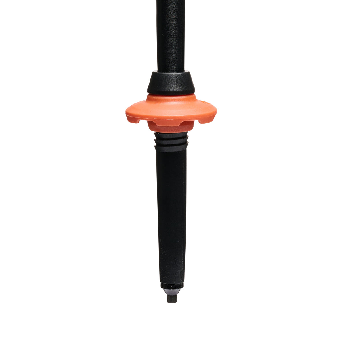 Trail Cork Trekking Poles | Black Diamond Value