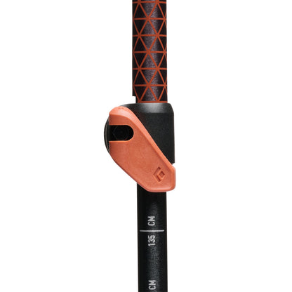Trail Cork Trekking Poles | Black Diamond Value