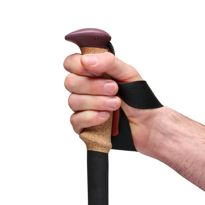 Trail Cork Trekking Poles | Black Diamond Value