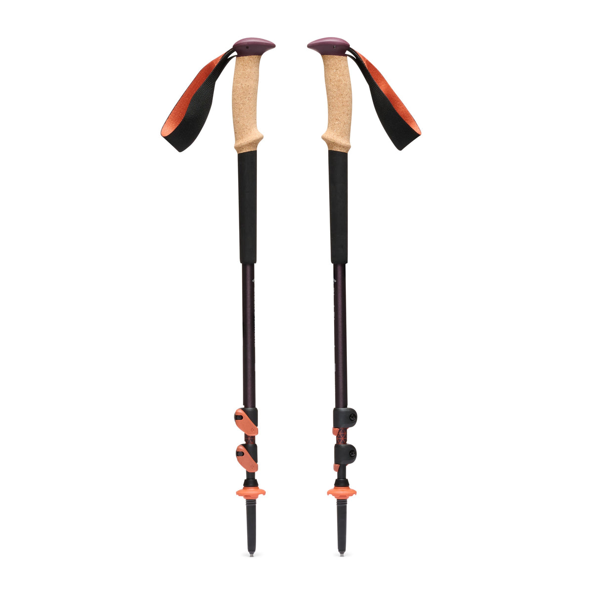Trail Cork Trekking Poles | Black Diamond Value