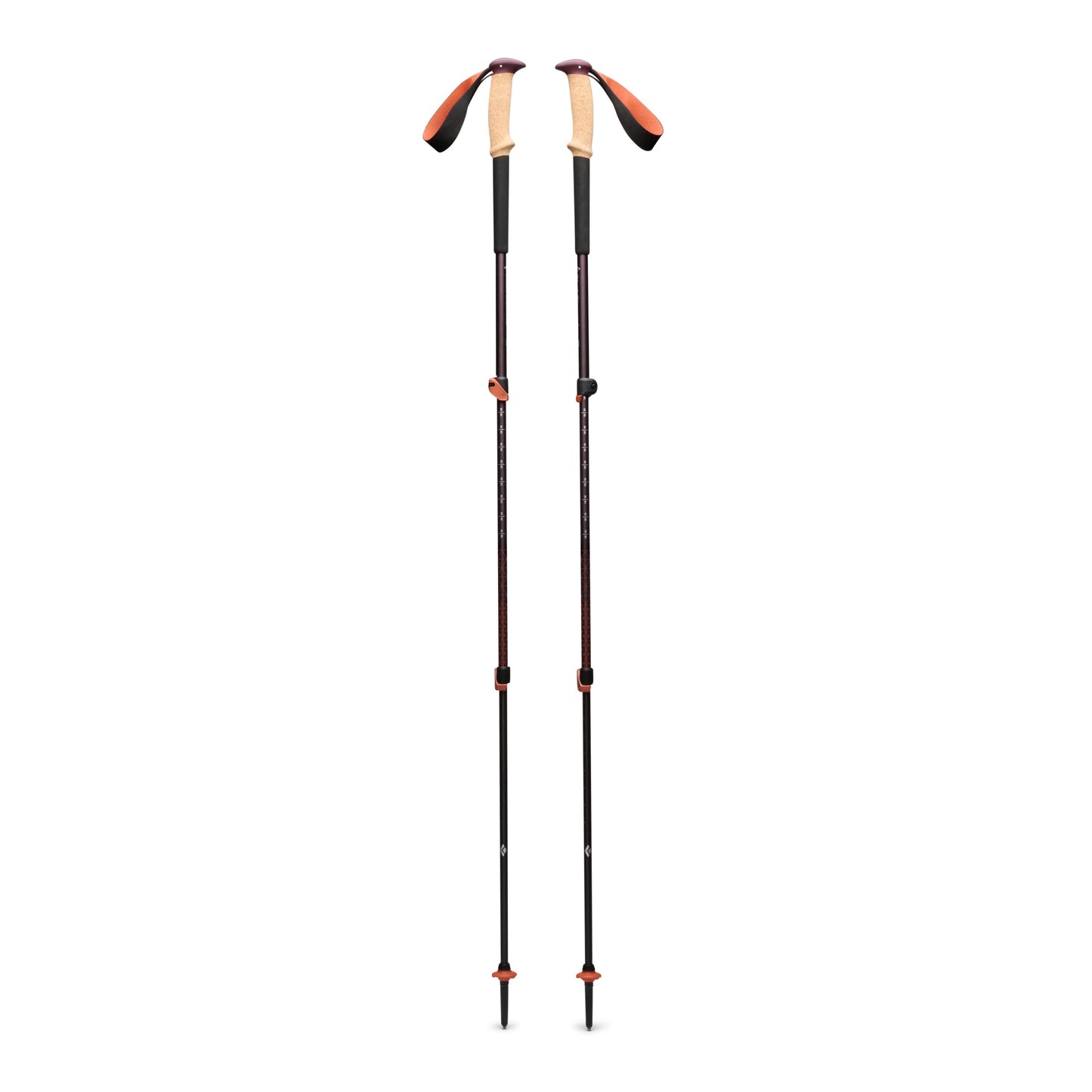 Trail Cork Trekking Poles | Black Diamond Value