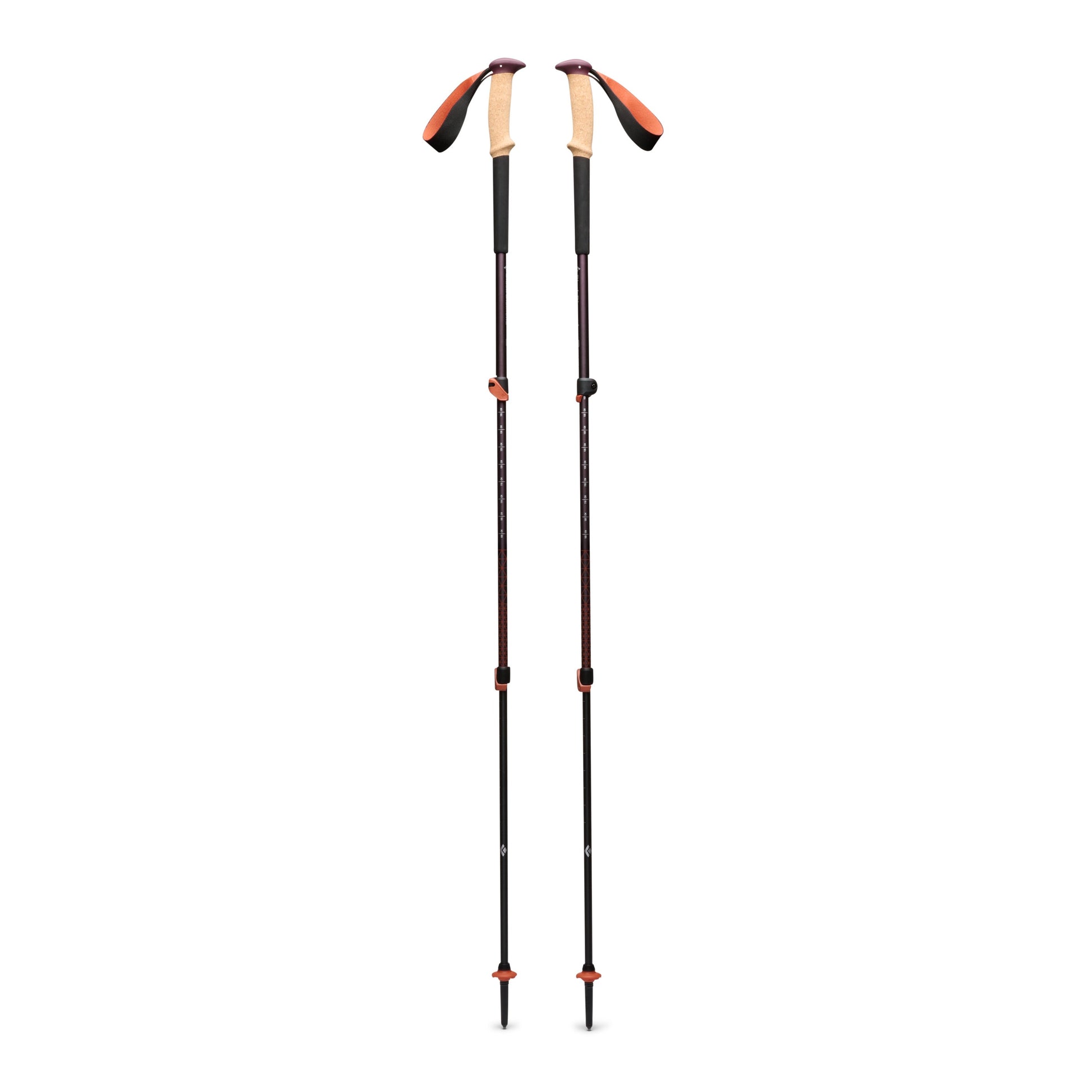Trail Cork Trekking Poles | Black Diamond Value