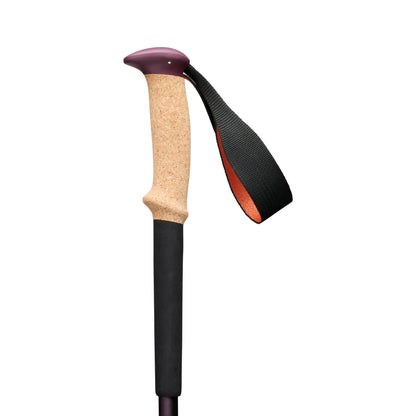 Trail Cork Trekking Poles | Black Diamond Value