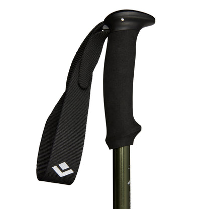 Explorer 3 Trekking Poles | Black Diamond Best Seller