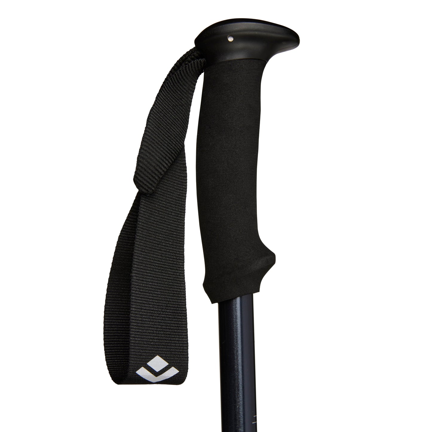 Explorer 2 Trekking Poles | Black Diamond Recommended