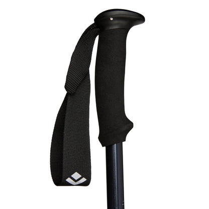 Explorer 2 Trekking Poles | Black Diamond Recommended