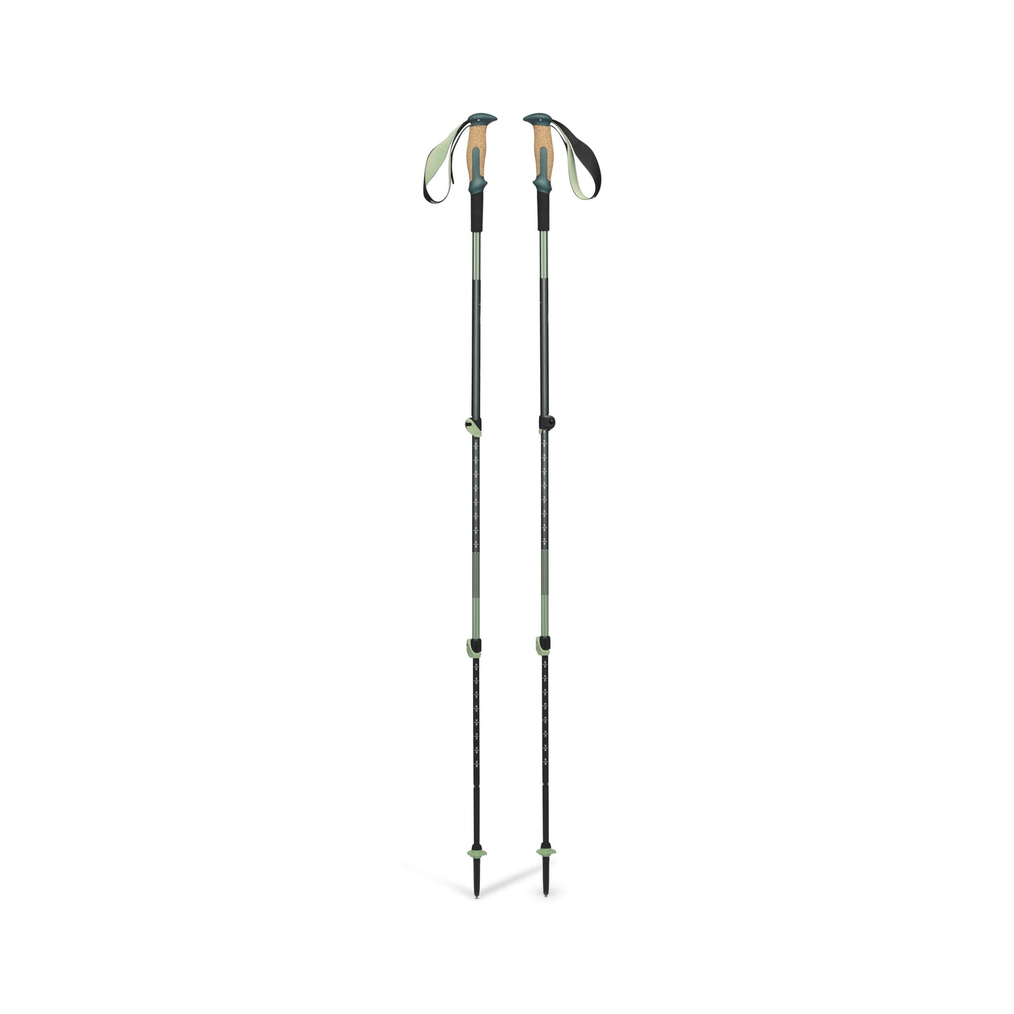 Trail Vista Shock Trekking Poles | Black Diamond Exclusive