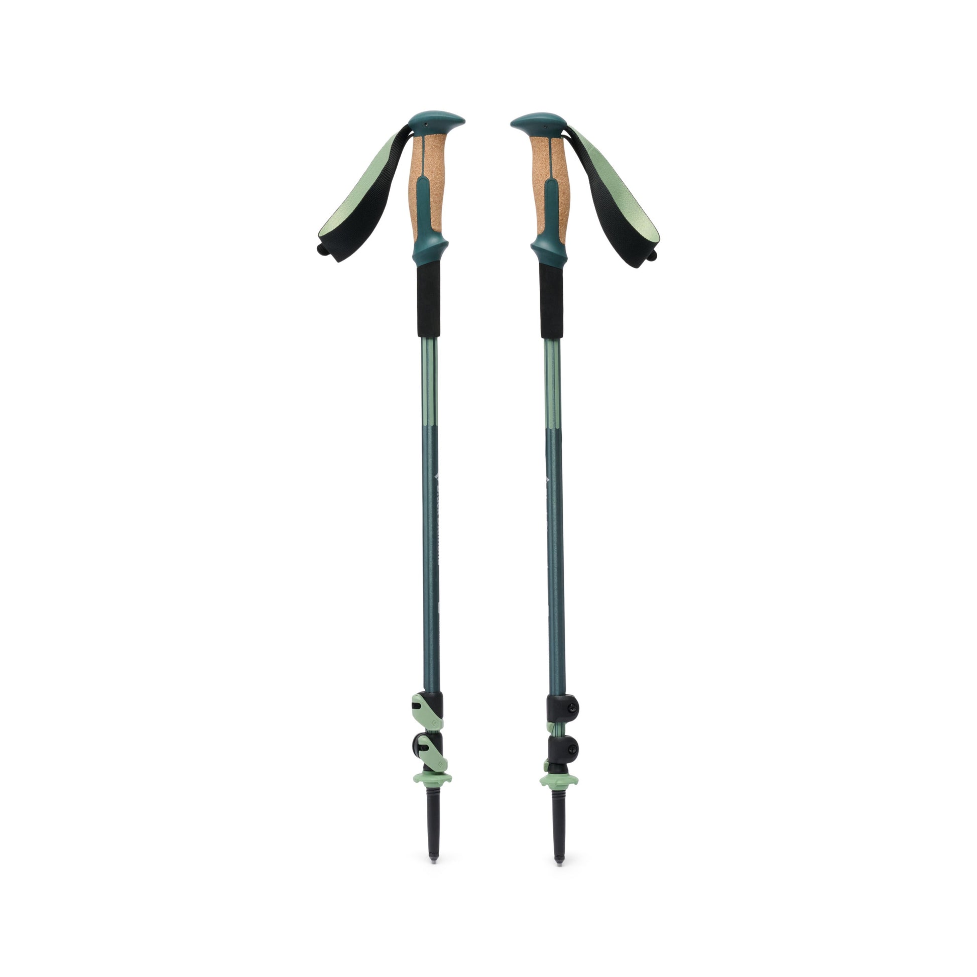 Trail Vista Shock Trekking Poles | Black Diamond Exclusive