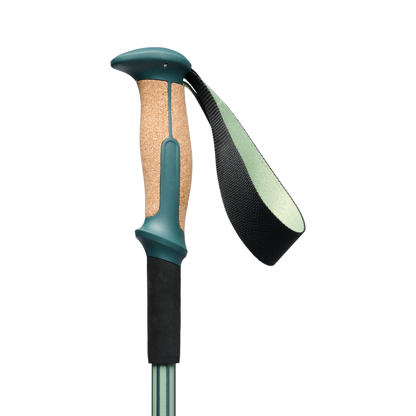 Trail Vista Shock Trekking Poles | Black Diamond Exclusive