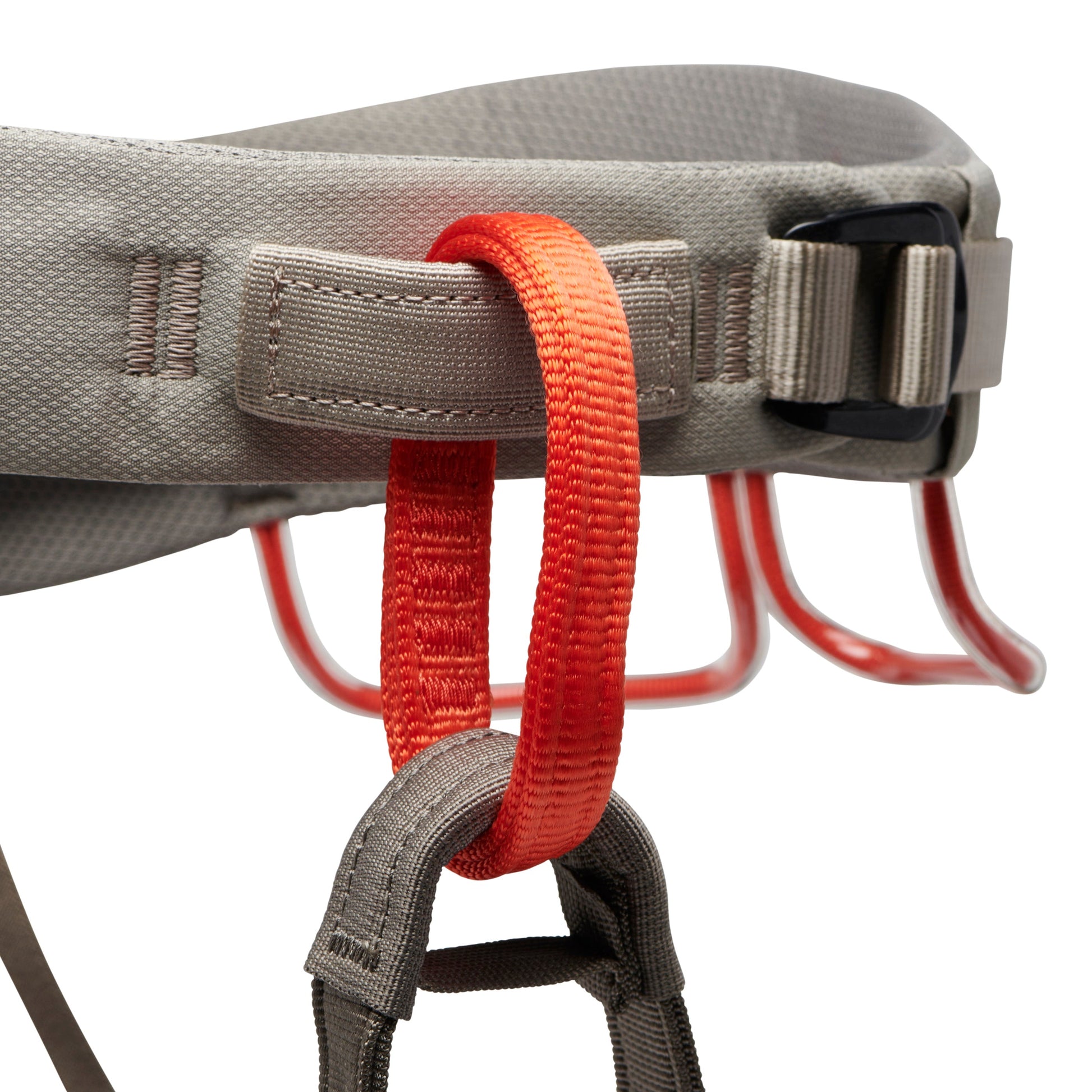 Men's Momentum Harness | Black Diamond Popular