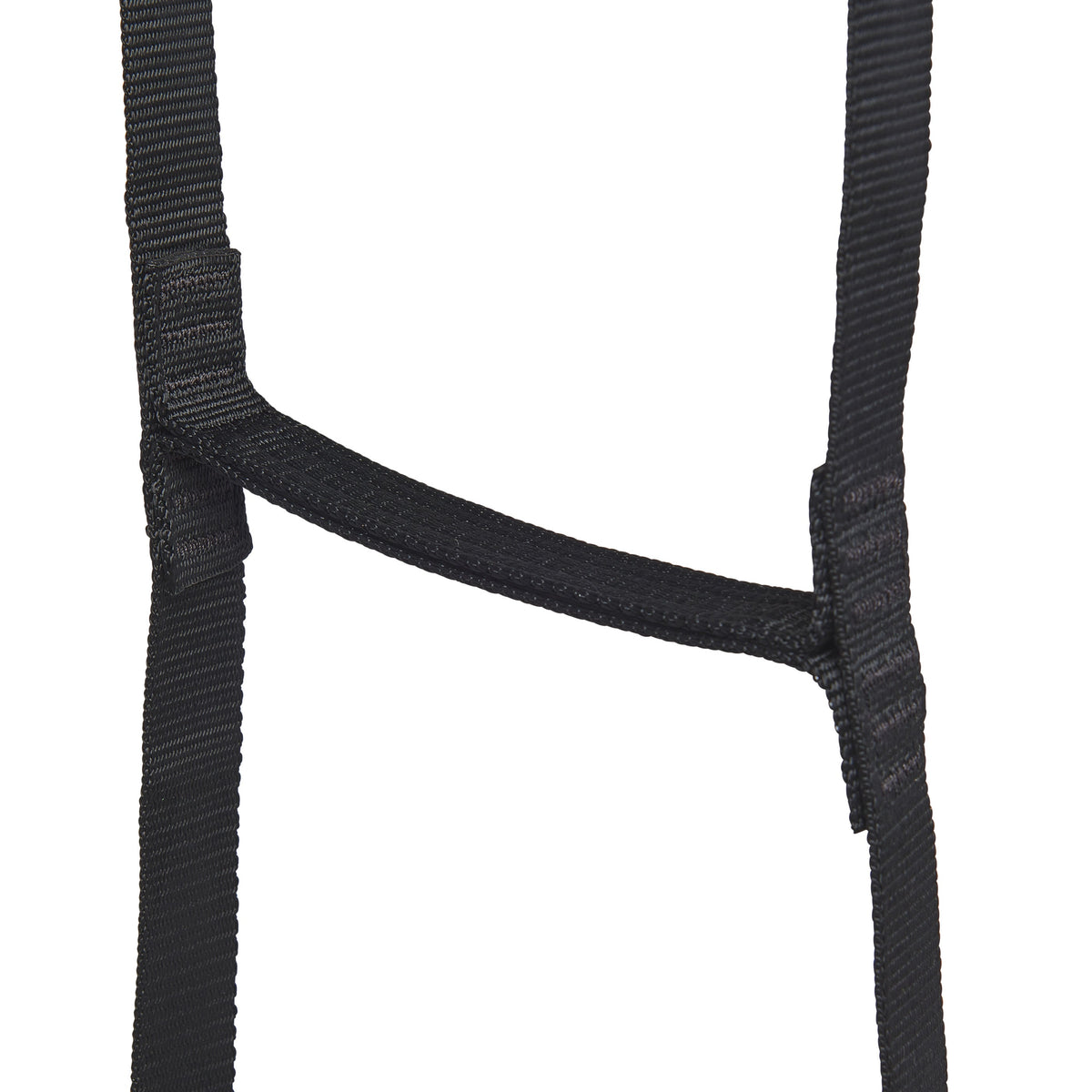 StepUp 6 Ladder | Black Diamond Everyday