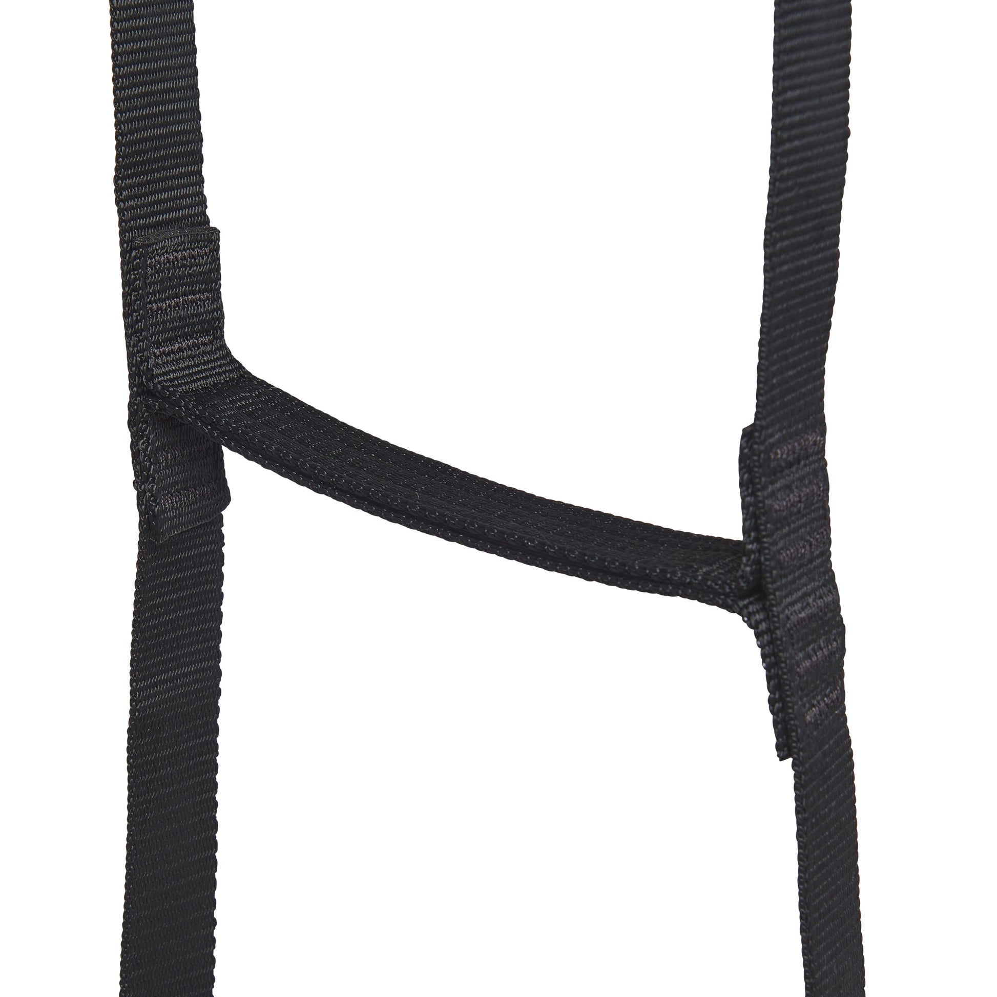StepUp 6 Ladder | Black Diamond Everyday