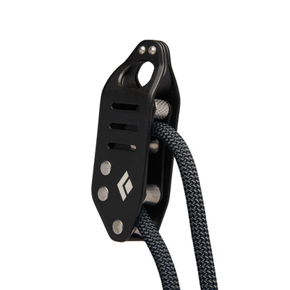 Speedaisy | Black Diamond Trending