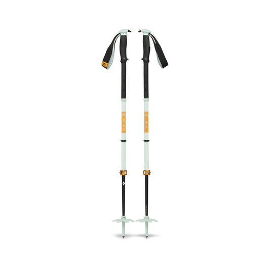 Traverse Pro Ski Poles | Black Diamond Best Seller