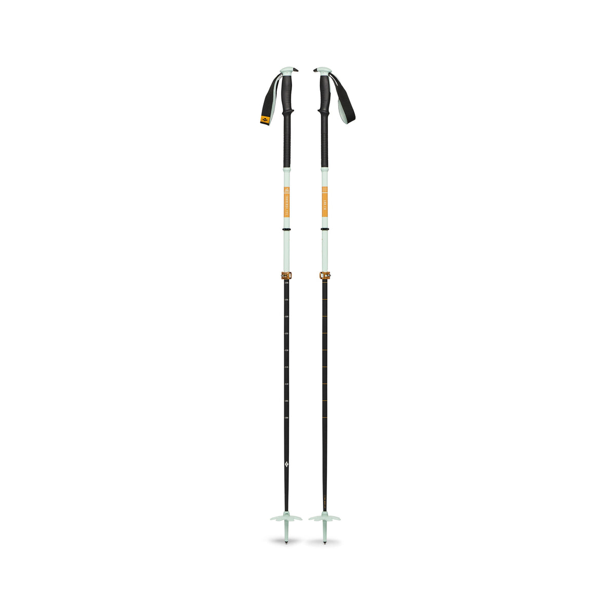 Traverse Pro Ski Poles | Black Diamond Best Seller
