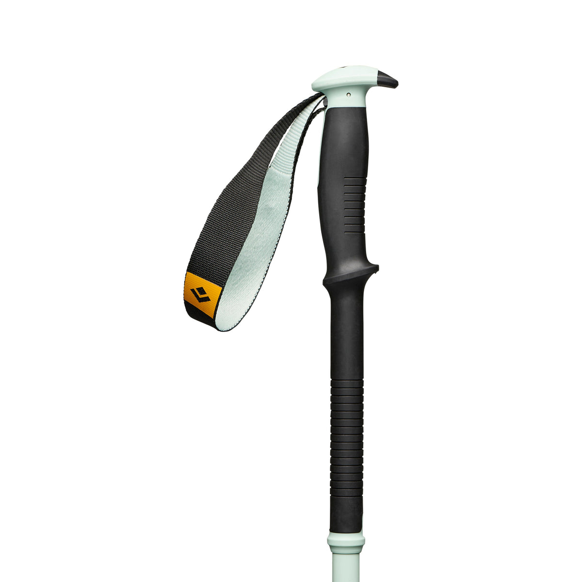 Traverse Pro Ski Poles | Black Diamond Best Seller