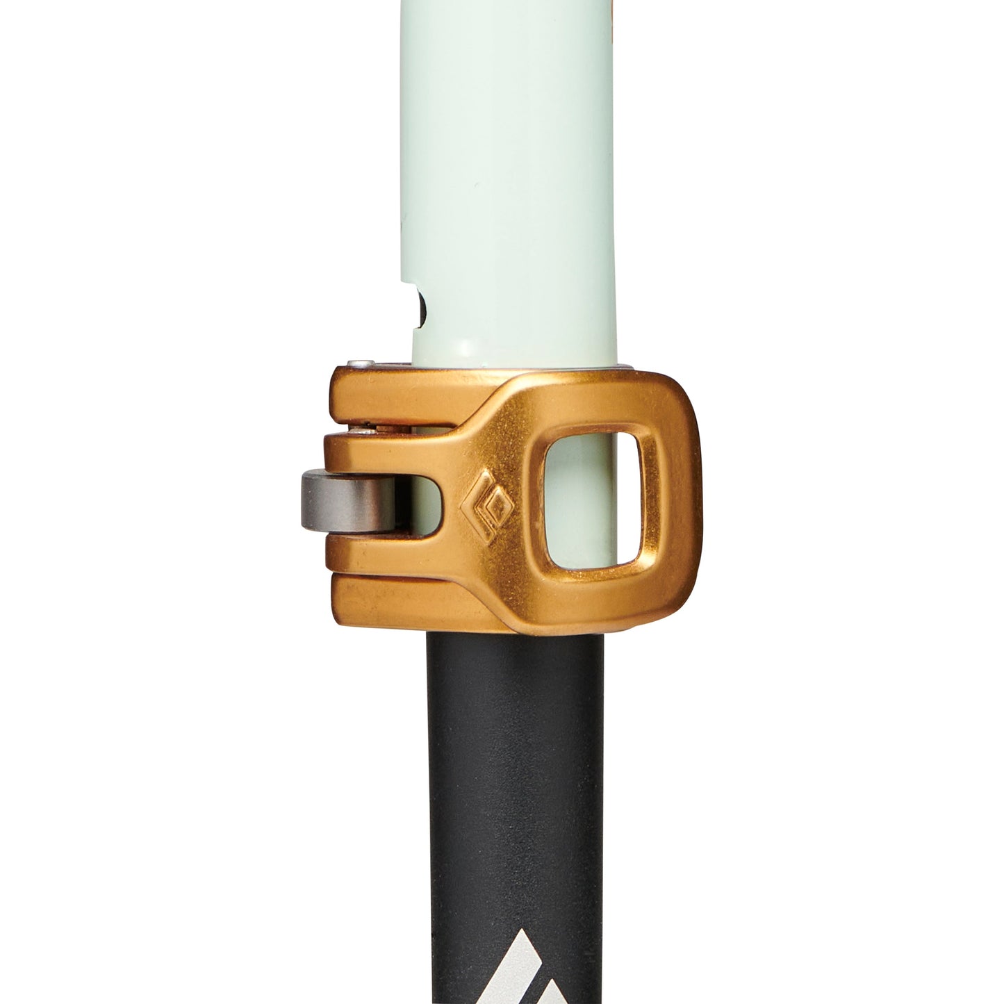Traverse Pro Ski Poles | Black Diamond Best Seller