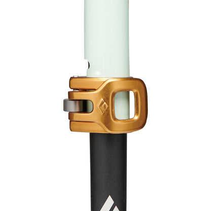 Traverse Pro Ski Poles | Black Diamond Best Seller