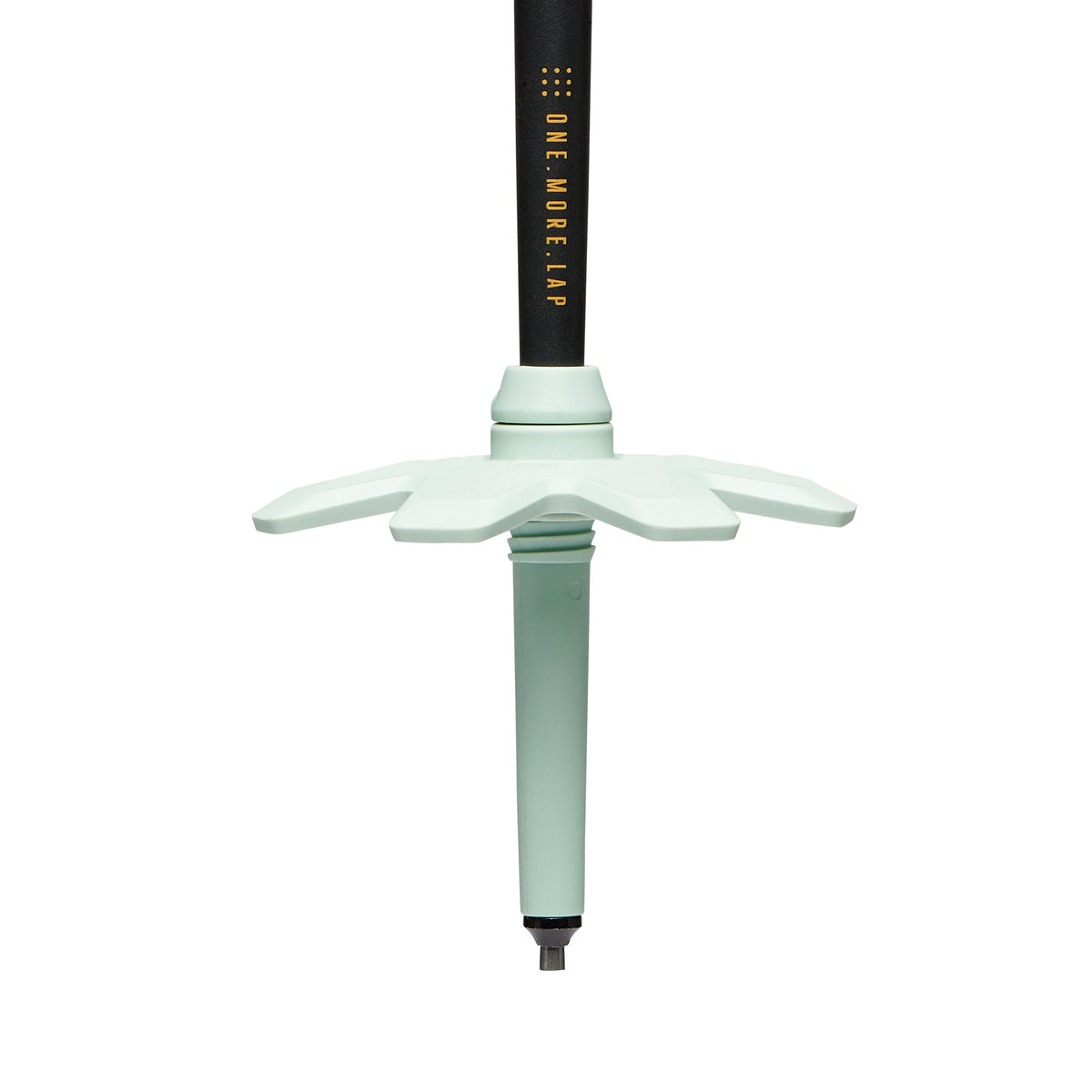 Traverse Pro Ski Poles | Black Diamond Best Seller