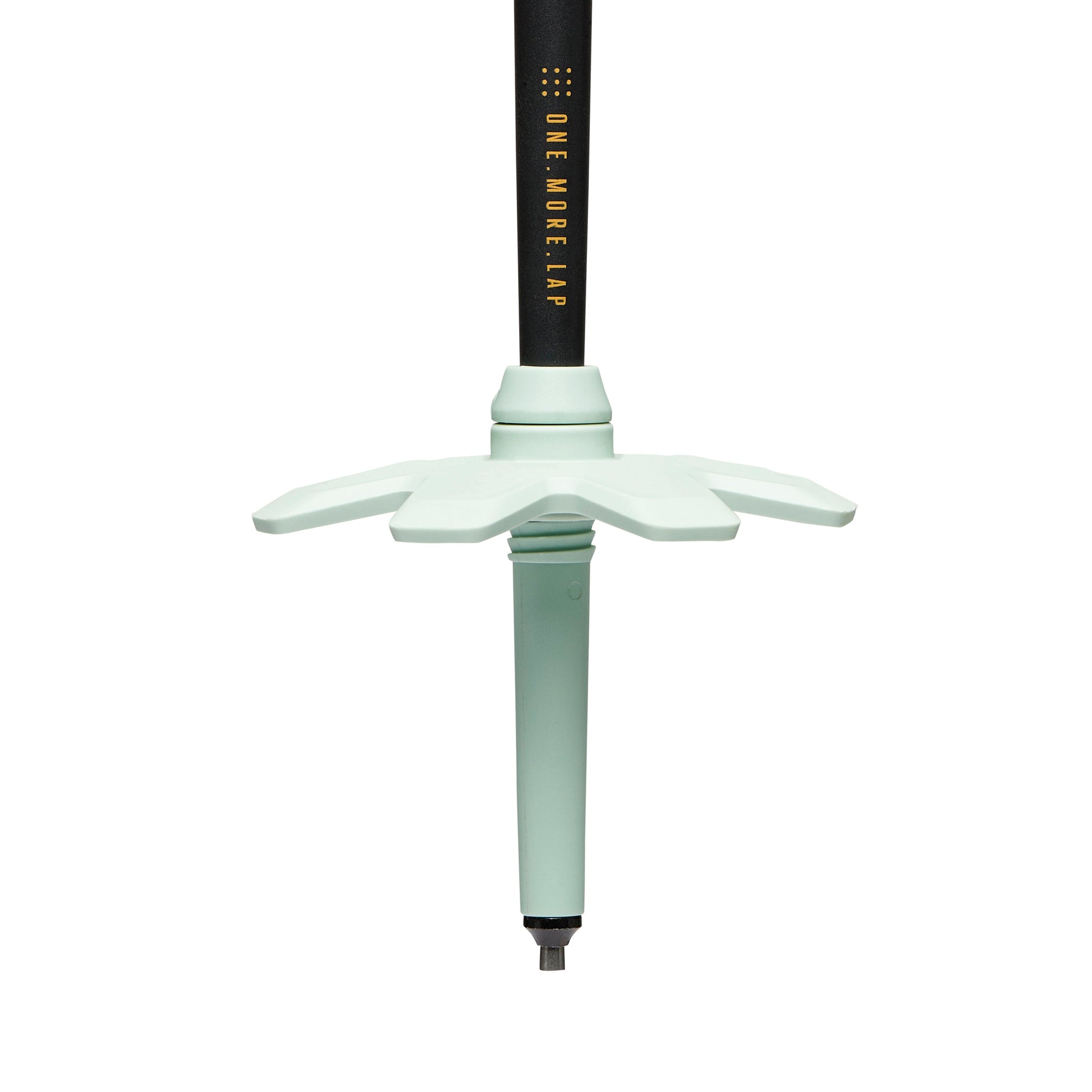 Traverse Pro Ski Poles | Black Diamond Best Seller