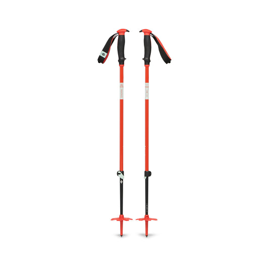 Traverse Ski Poles - Past Season | Black Diamond Essential