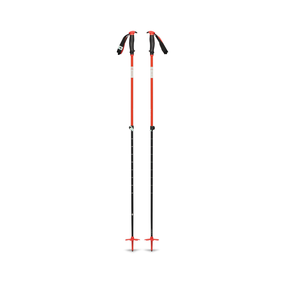 Traverse Ski Poles - Past Season | Black Diamond Essential