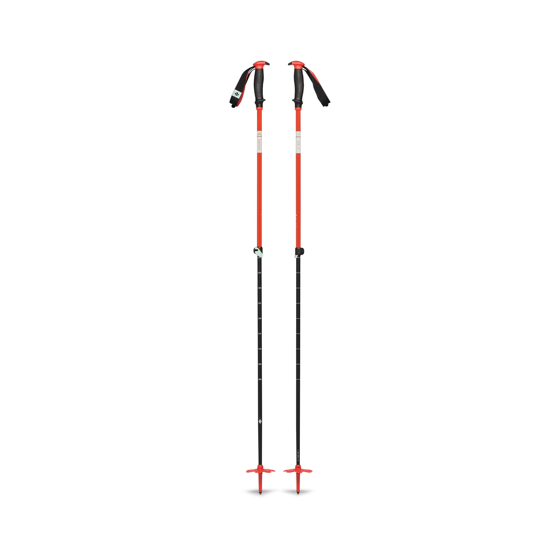 Traverse Ski Poles - Past Season | Black Diamond Essential