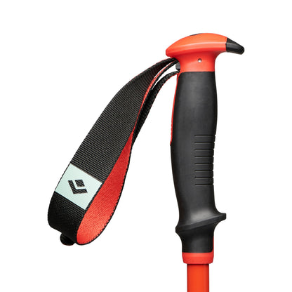 Traverse Ski Poles - Past Season | Black Diamond Essential