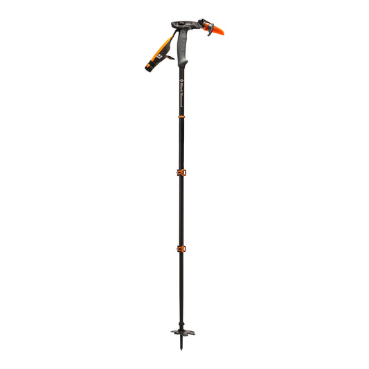 Whippet Pole | Black Diamond Featured