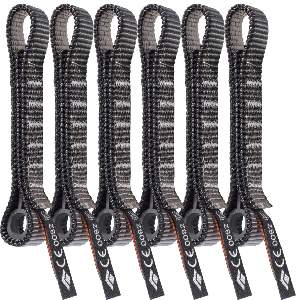 Standard Dogbone 12 cm 6 Pack | Black Diamond Exclusive