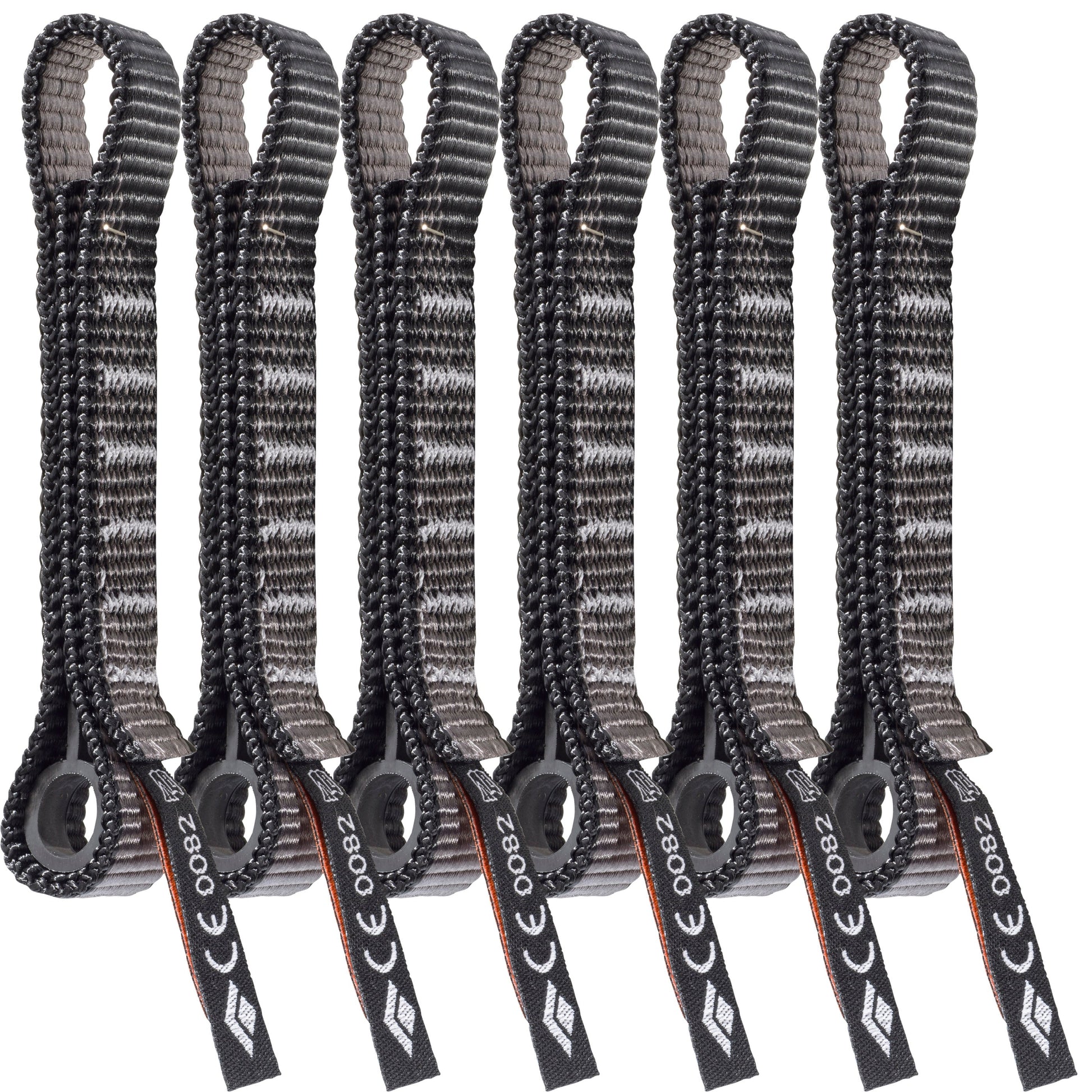 Standard Dogbone 12 cm 6 Pack | Black Diamond Exclusive