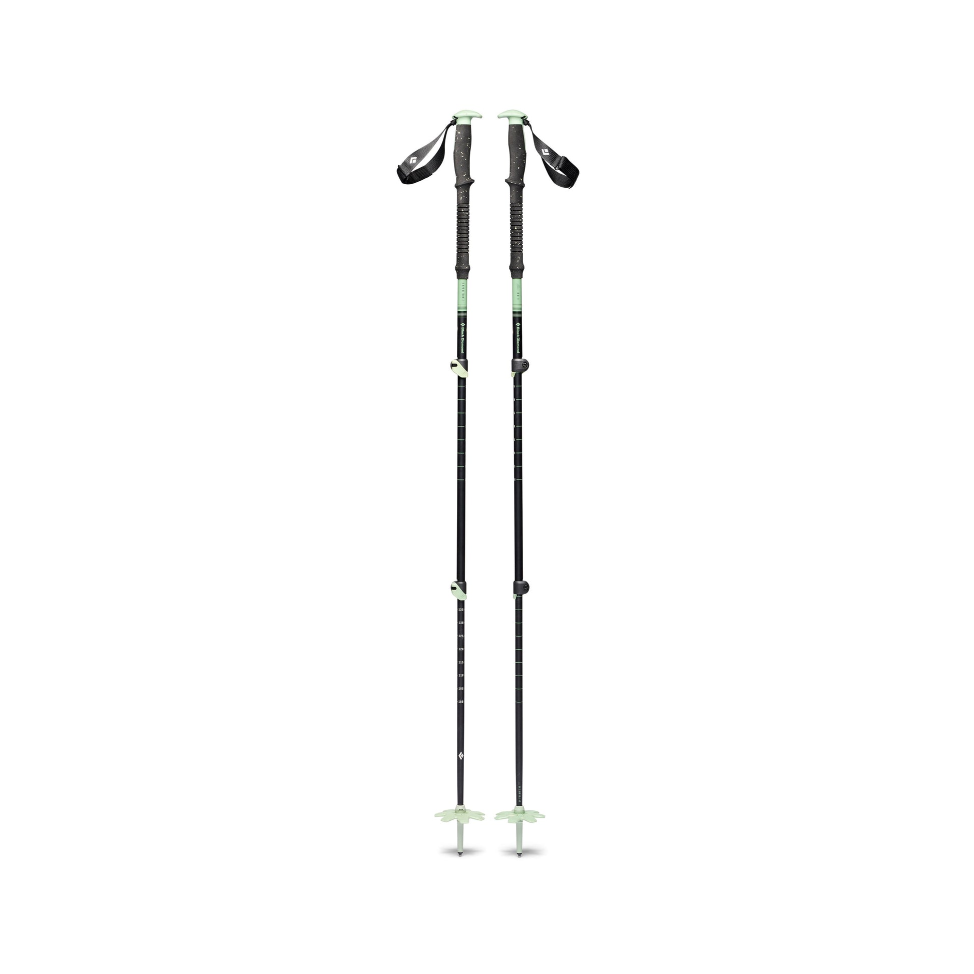 Expedition 3 Ski Poles | Black Diamond Exclusive